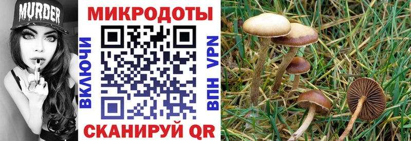 купить   Тюкалинск  ОМГ ОМГ как войти  Псилоцибиновые грибы Magic Shrooms 